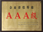 3A級企業(yè)-2006年度